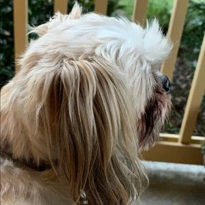 Meet your Posher, Leilani